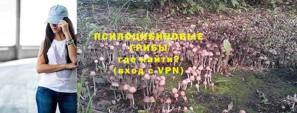 кокс Туринск