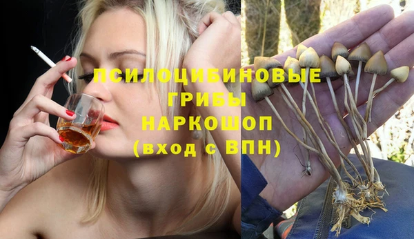 ALPHA-PVP Гусь-Хрустальный