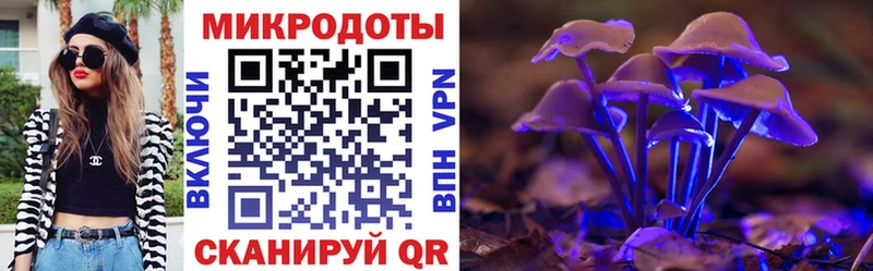 хочу   Дорогобуж  Псилоцибиновые грибы Magic Shrooms 